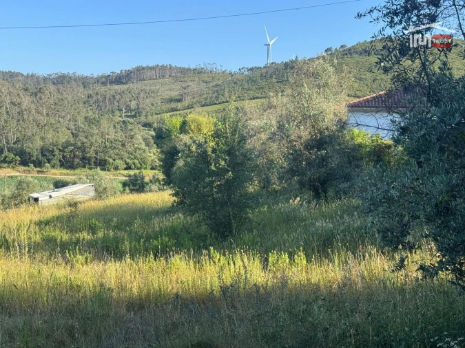 Terreno Misto para Venda em São Mamede Foto 14