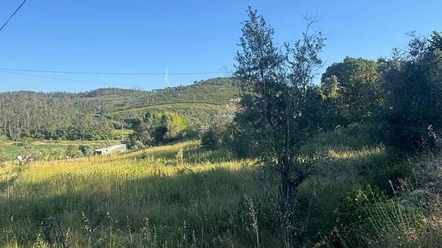 Terreno Misto para Venda em São Mamede
