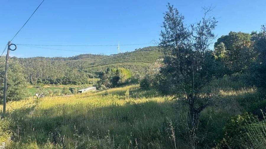 Terreno Misto para Venda em São Mamede