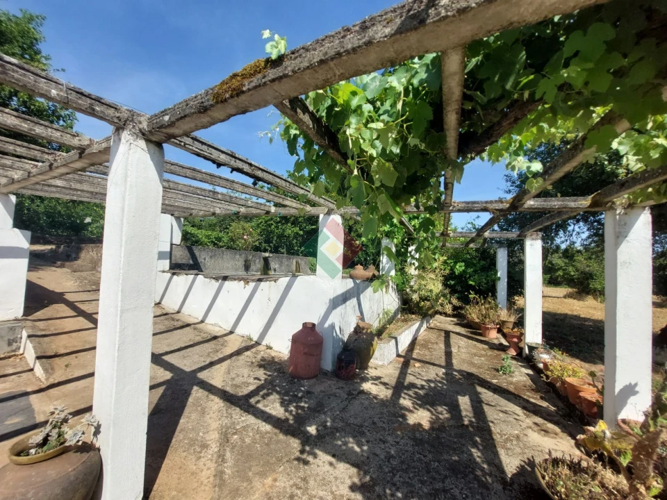 Quinta T7 para Venda em São Salvador da Aramenha Foto 26