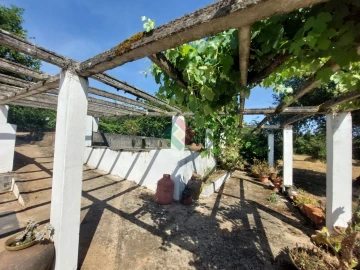 Quinta T7 para Venda em São Salvador da Aramenha