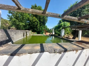 Quinta T7 para Venda em São Salvador da Aramenha