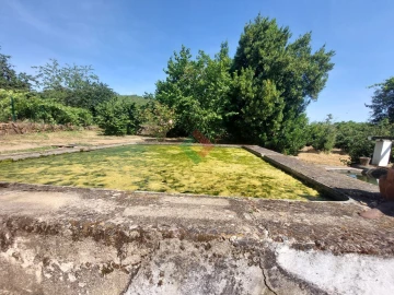 Quinta T7 para Venda em São Salvador da Aramenha