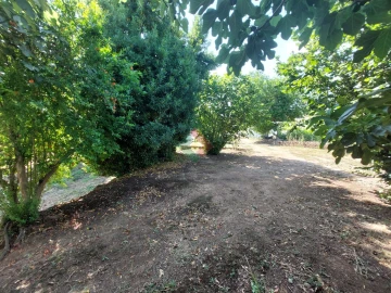 Quinta T7 para Venda em São Salvador da Aramenha