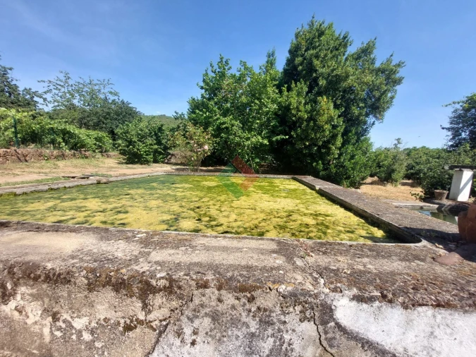 Quinta T7 para Venda em São Salvador da Aramenha Foto 28