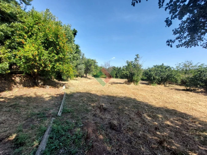 Quinta T7 para Venda em São Salvador da Aramenha Foto 29