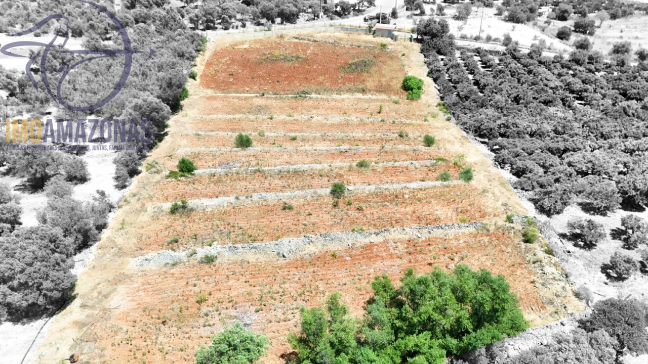 Terreno para Venda em Silves Foto 4