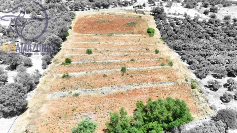 Terreno para Venda em Silves