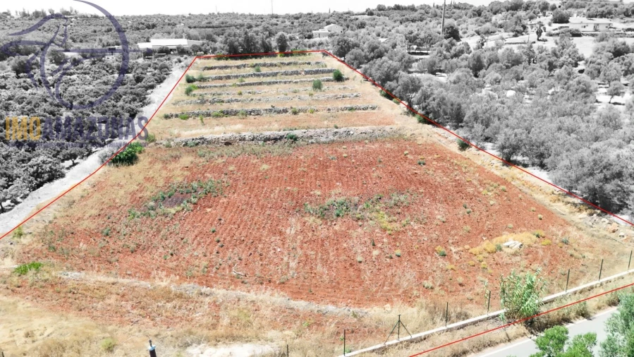 Terreno para Venda em Silves Foto 2