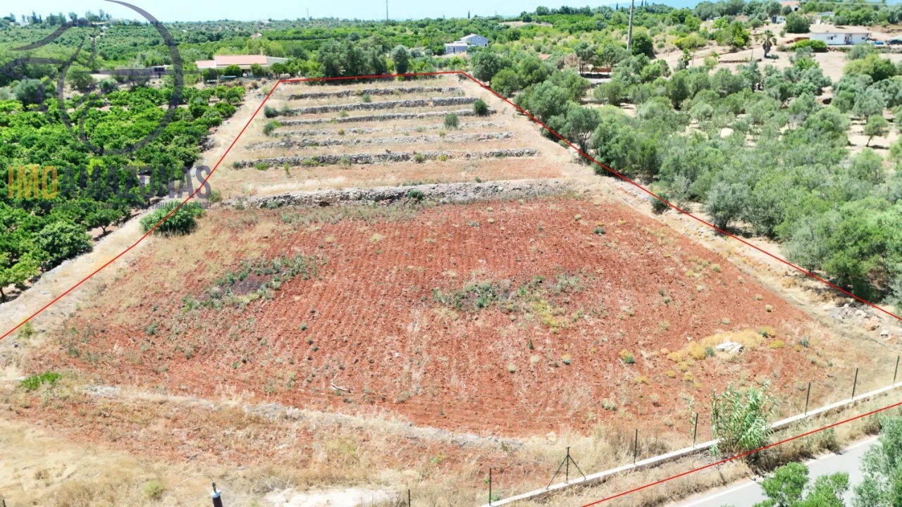 Terreno para Venda em Silves Foto 1