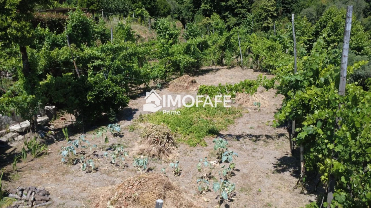Moradia T3 para Venda em Ribas Foto 19