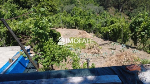 Moradia T3 para Venda em Ribas