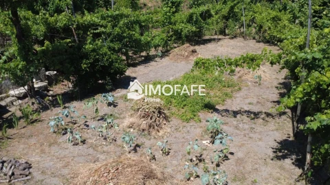 Moradia T3 para Venda em Ribas
