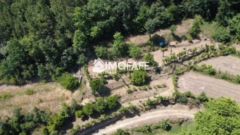 Moradia T3 para Venda em Ribas