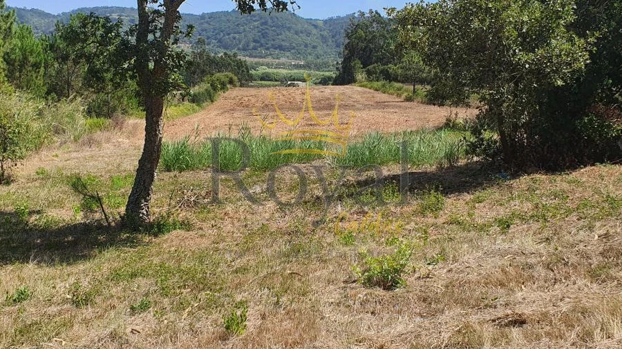 Terreno para Venda em Tornada e Salir do Porto