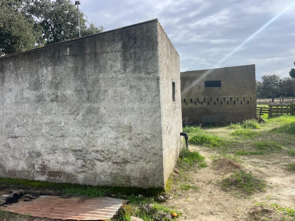 Terreno Agricola ou Rústico para Venda em Ferreira do Alentejo e Canhestros Foto 2