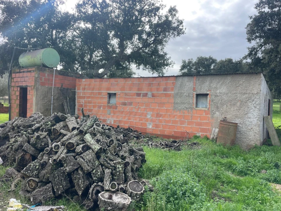 Terreno Agricola ou Rústico para Venda em Ferreira do Alentejo e Canhestros Foto 3