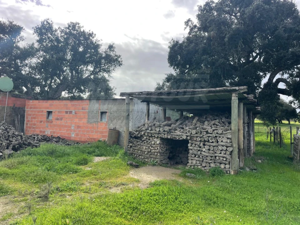 Terreno Agricola ou Rústico para Venda em Ferreira do Alentejo e Canhestros Foto 8