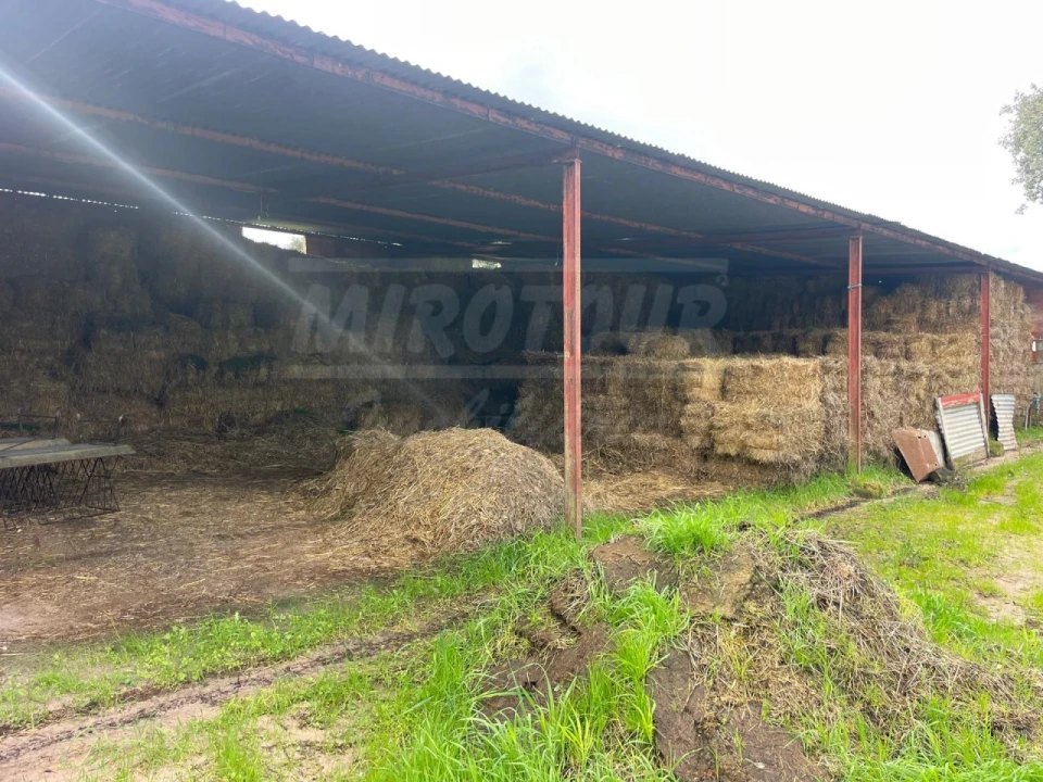 Terreno Agricola ou Rústico para Venda em Ferreira do Alentejo e Canhestros Foto 22