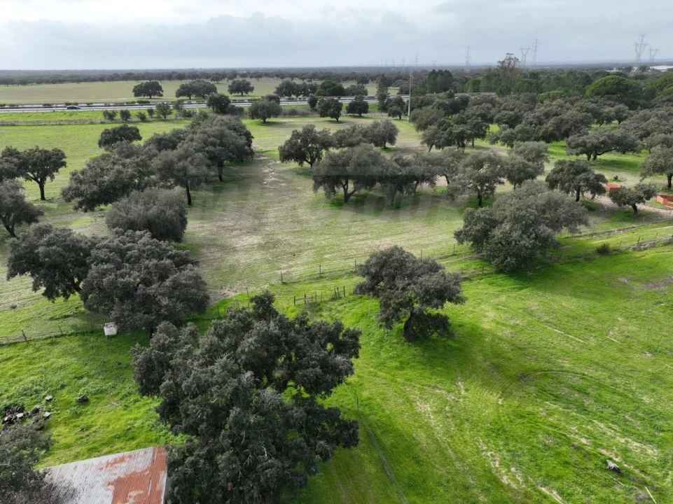Terreno Agricola ou Rústico para Venda em Ferreira do Alentejo e Canhestros Foto 24