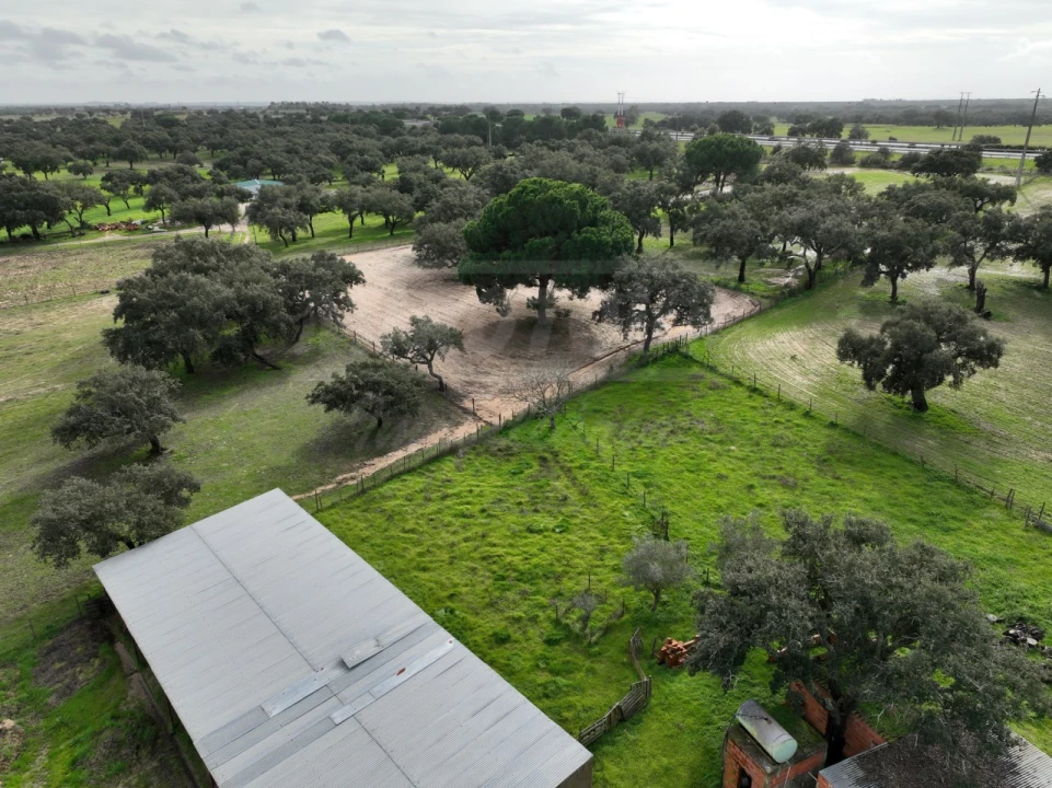 Terreno Agricola ou Rústico para Venda em Ferreira do Alentejo e Canhestros Foto 25