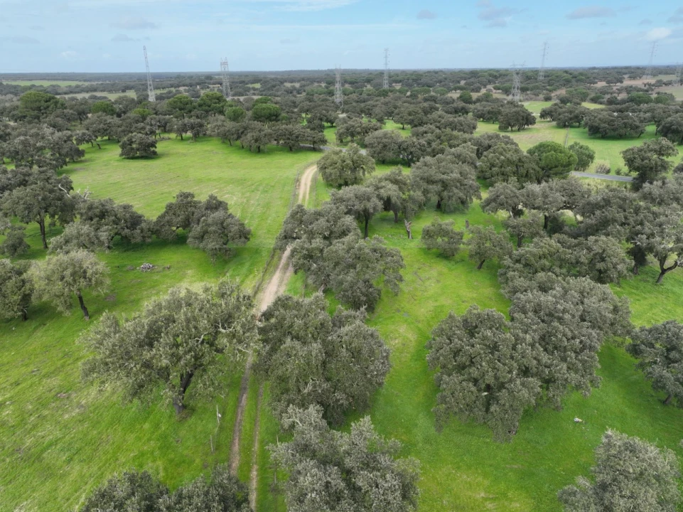 Terreno Agricola ou Rústico para Venda em Ferreira do Alentejo e Canhestros Foto 26