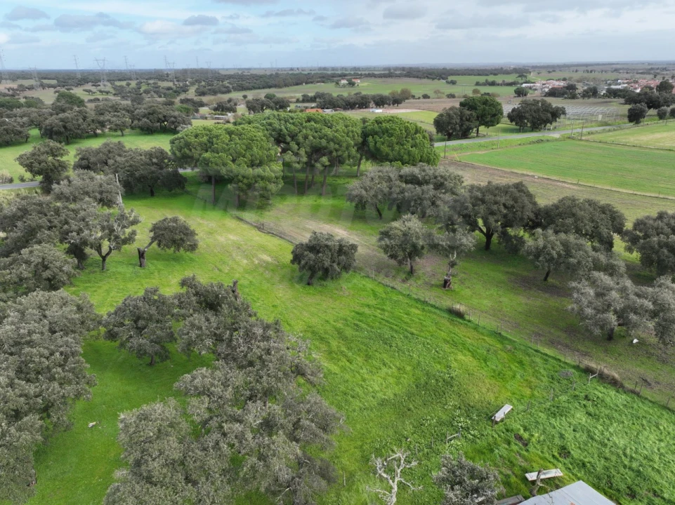 Terreno Agricola ou Rústico para Venda em Ferreira do Alentejo e Canhestros Foto 27