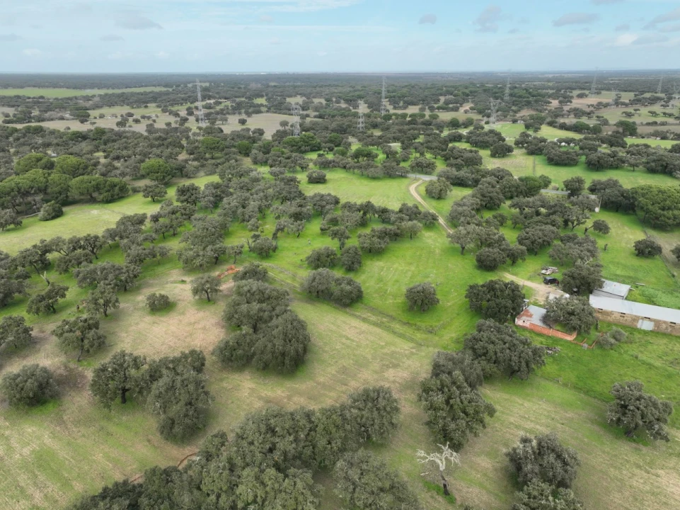 Terreno Agricola ou Rústico para Venda em Ferreira do Alentejo e Canhestros Foto 29