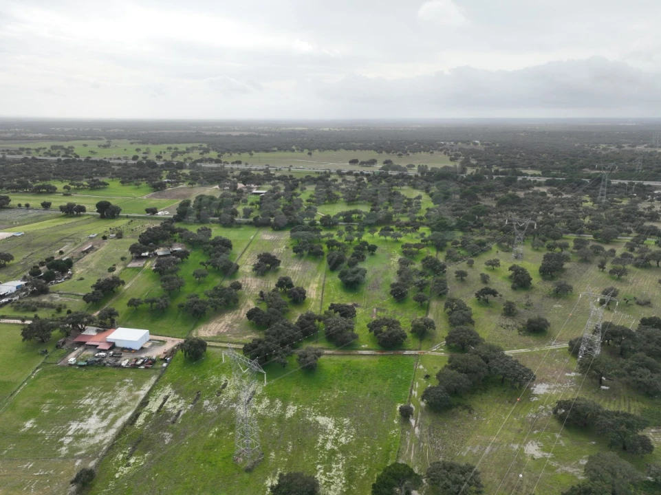 Terreno Agricola ou Rústico para Venda em Ferreira do Alentejo e Canhestros Foto 31