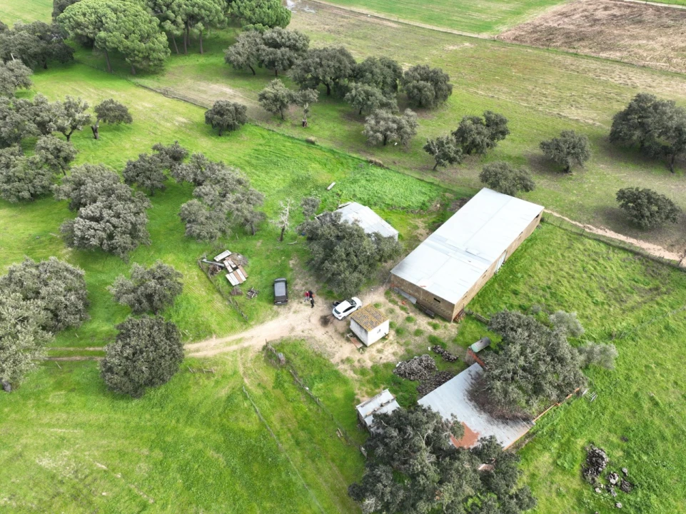 Terreno Agricola ou Rústico para Venda em Ferreira do Alentejo e Canhestros Foto 35