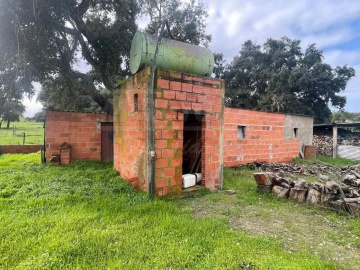 Terreno Agricola ou Rústico para Venda em Ferreira do Alentejo e Canhestros