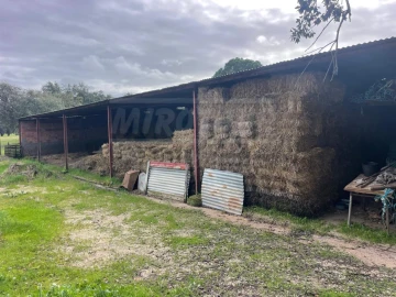 Terreno Agricola ou Rústico para Venda em Ferreira do Alentejo e Canhestros