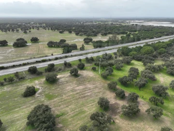 Terreno Agricola ou Rústico para Venda em Ferreira do Alentejo e Canhestros