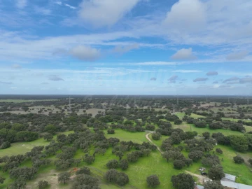 Terreno Agricola ou Rústico para Venda em Ferreira do Alentejo e Canhestros
