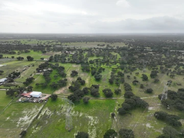 Terreno Agricola ou Rústico para Venda em Ferreira do Alentejo e Canhestros
