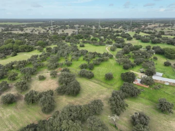 Terreno Agricola ou Rústico para Venda em Ferreira do Alentejo e Canhestros
