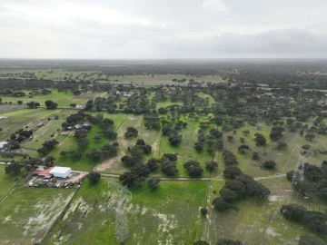 Terreno Agricola ou Rústico para Venda em Ferreira do Alentejo e Canhestros