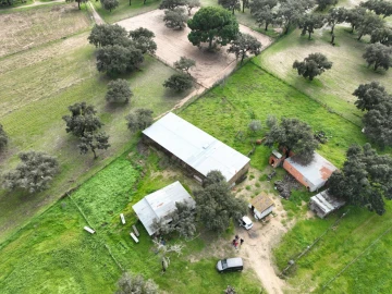 Terreno Agricola ou Rústico para Venda em Ferreira do Alentejo e Canhestros