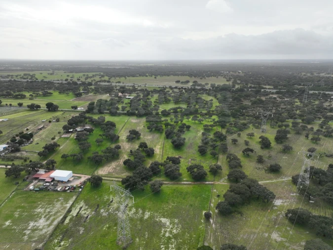 Terreno Agricola ou Rústico para Venda em Ferreira do Alentejo e Canhestros Foto 33