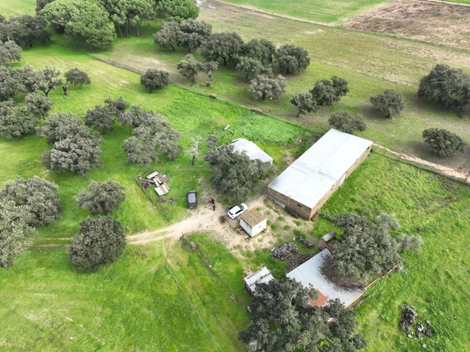 Terreno Agricola ou Rústico para Venda em Ferreira do Alentejo e Canhestros Foto 35