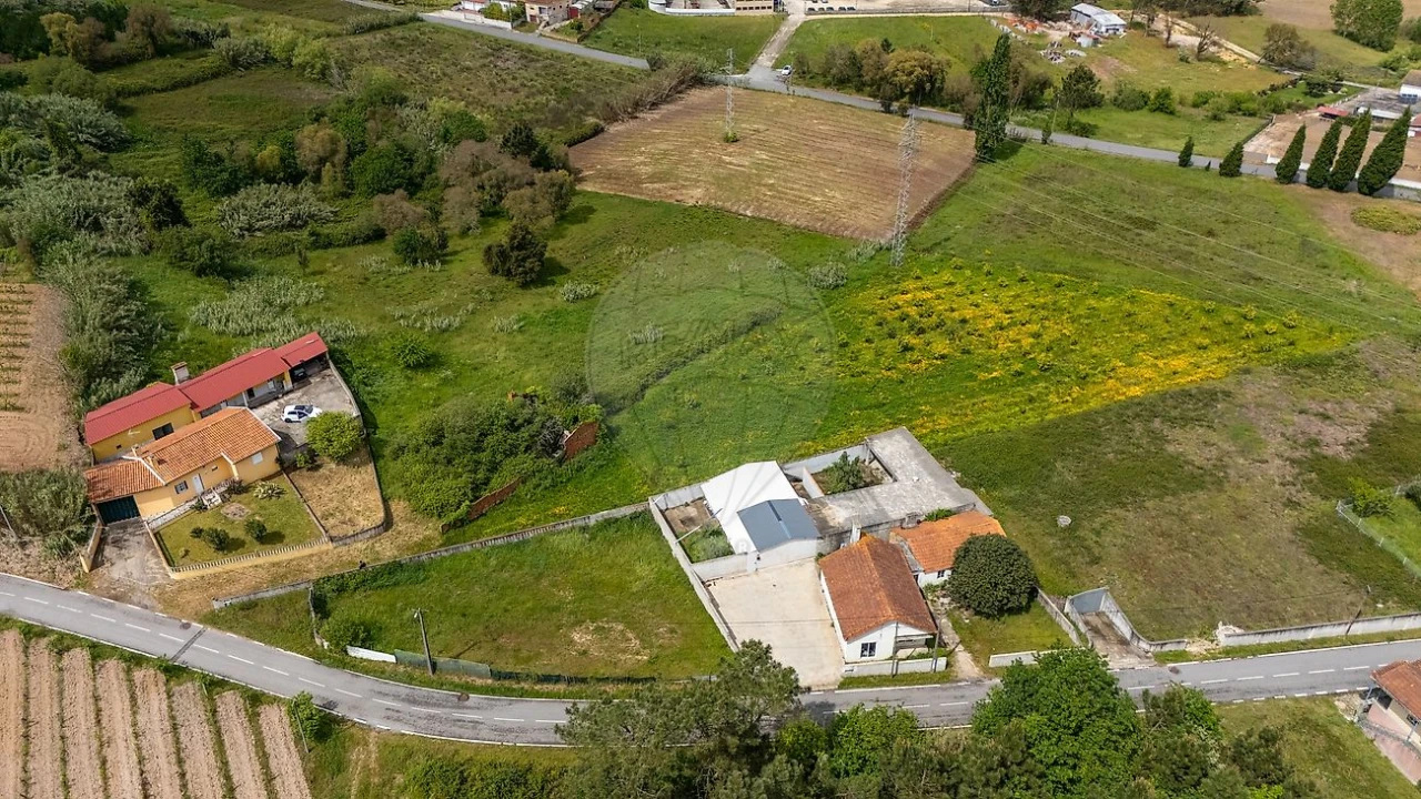Terreno para Venda em Amoreira da Gândara, Paredes do Bairro e Ancas Foto 4