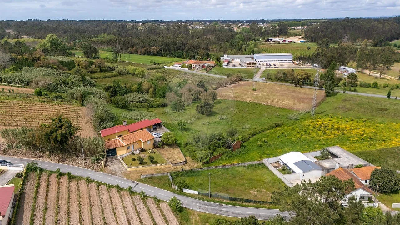 Terreno para Venda em Amoreira da Gândara, Paredes do Bairro e Ancas Foto 3