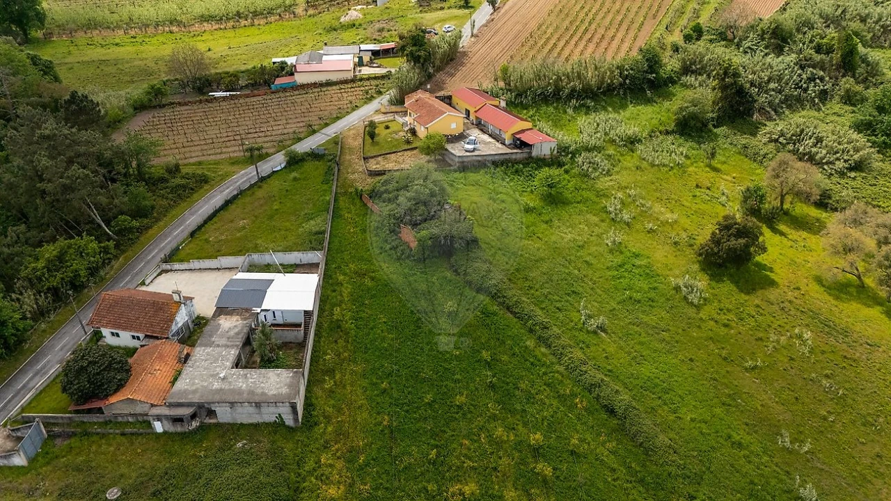 Terreno para Venda em Amoreira da Gândara, Paredes do Bairro e Ancas Foto 1