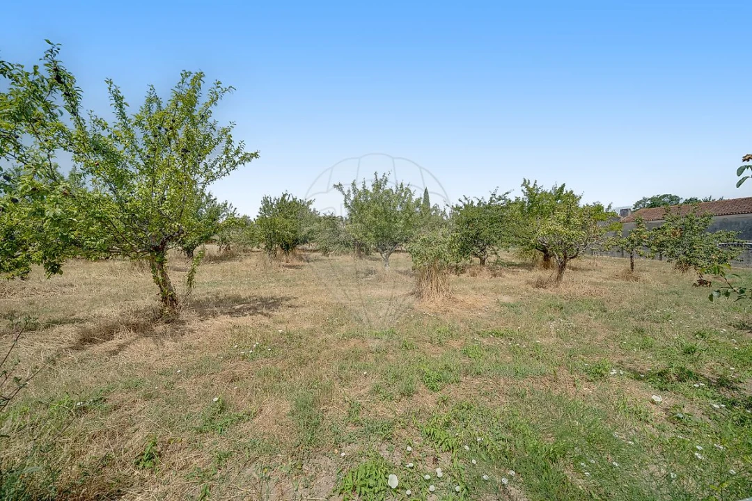 Moradia T3 para Venda em Bustos, Troviscal e Mamarrosa Foto 11