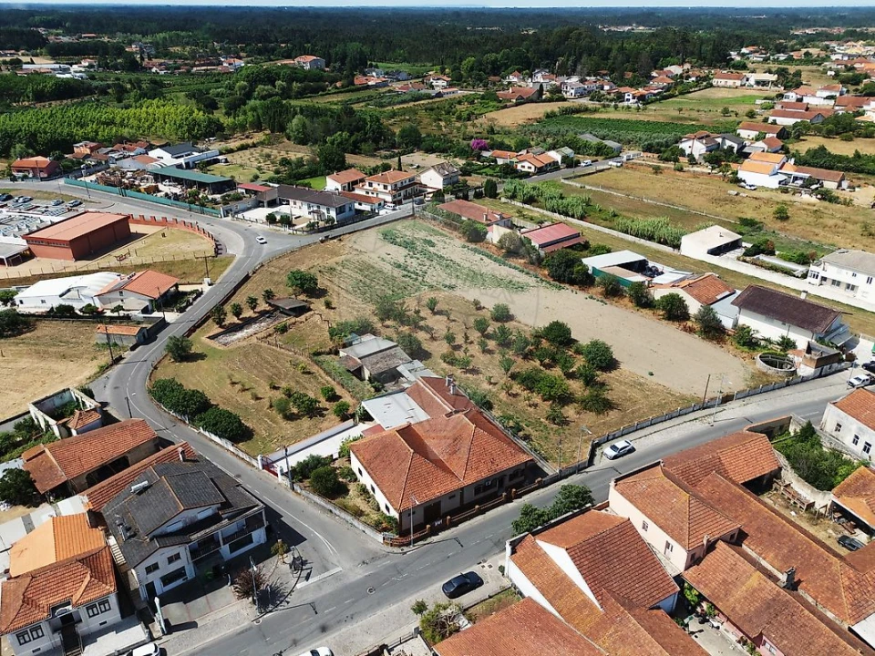 Moradia T3 para Venda em Bustos, Troviscal e Mamarrosa Foto 1