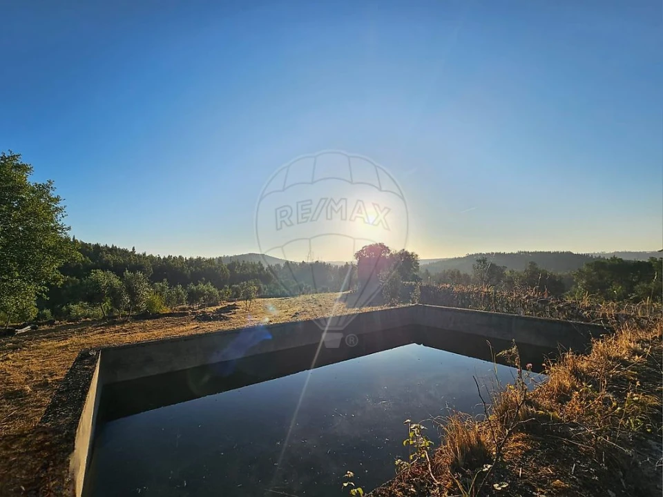 Terreno para Venda em Mação, Penhascoso e Aboboreira Foto 1