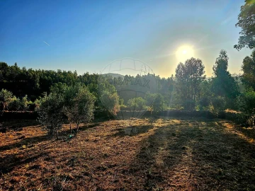 Terreno para Venda em Mação, Penhascoso e Aboboreira