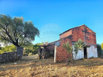 Terreno para Venda em Mação, Penhascoso e Aboboreira