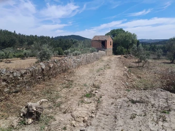 Terreno para Venda em Mação, Penhascoso e Aboboreira
