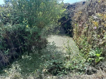 Terreno para Venda em Mação, Penhascoso e Aboboreira
